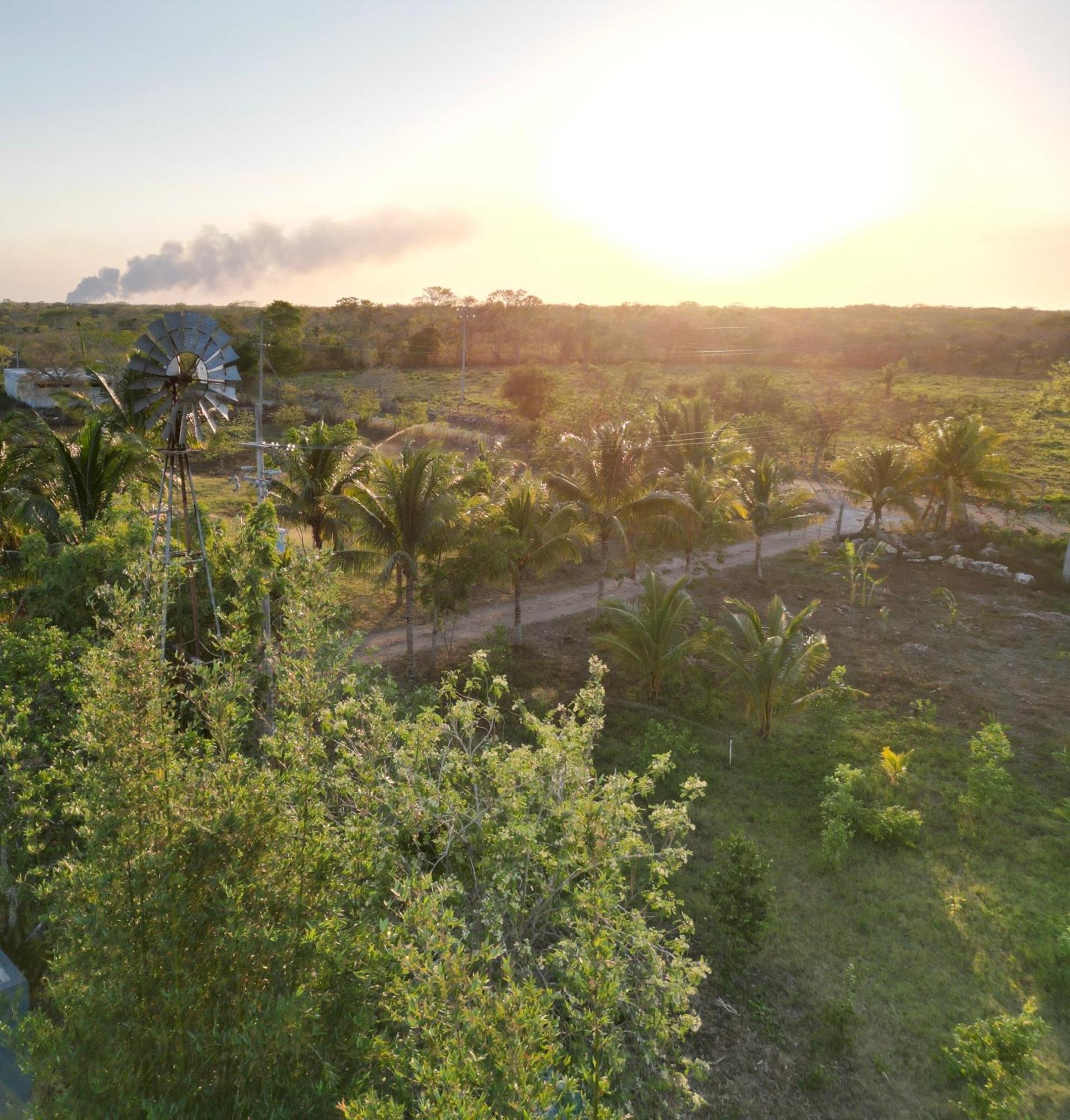 Casitas At Rancho Kuxtal Villa Тисимин Екстериор снимка